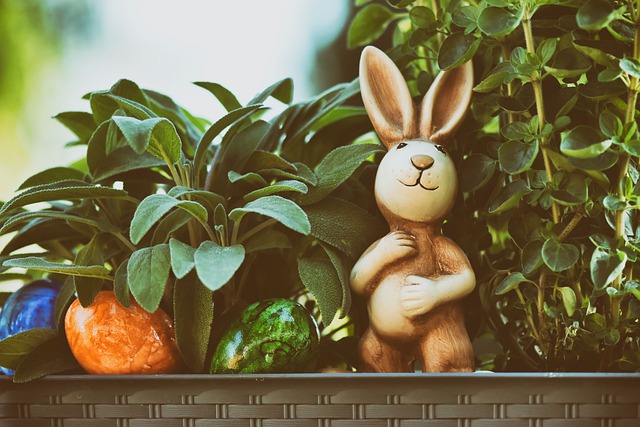 谁是属兔人命中注定的情人 属兔桃花运最旺在哪一年
